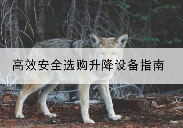 永康升降货梯厂家推荐-*安全选购升降设备指南