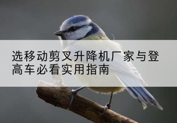 永康电动升降机厂家-选移动剪叉升降机厂家与登高车必看实用指南