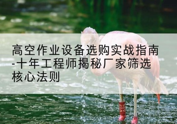 永康剪叉式升降机厂家-高空作业设备选购实战指南-十年工程师揭秘厂家筛选核心法则